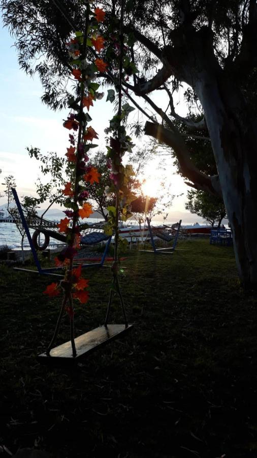 Okaliptus Butik Hotel Fethiye Dış mekan fotoğraf