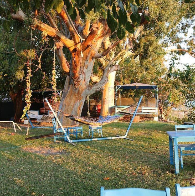Okaliptus Butik Hotel Fethiye Dış mekan fotoğraf