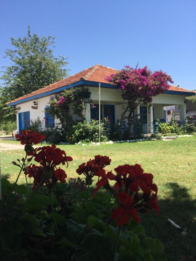 Okaliptus Butik Hotel Fethiye Dış mekan fotoğraf